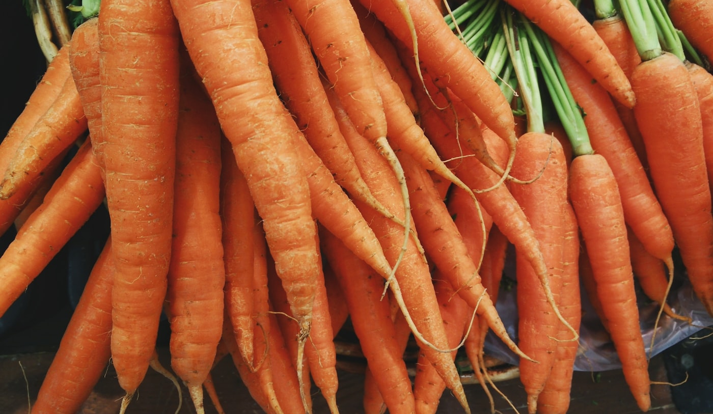 Bottes de carottes fraîchement arrachées, au fil des saisons